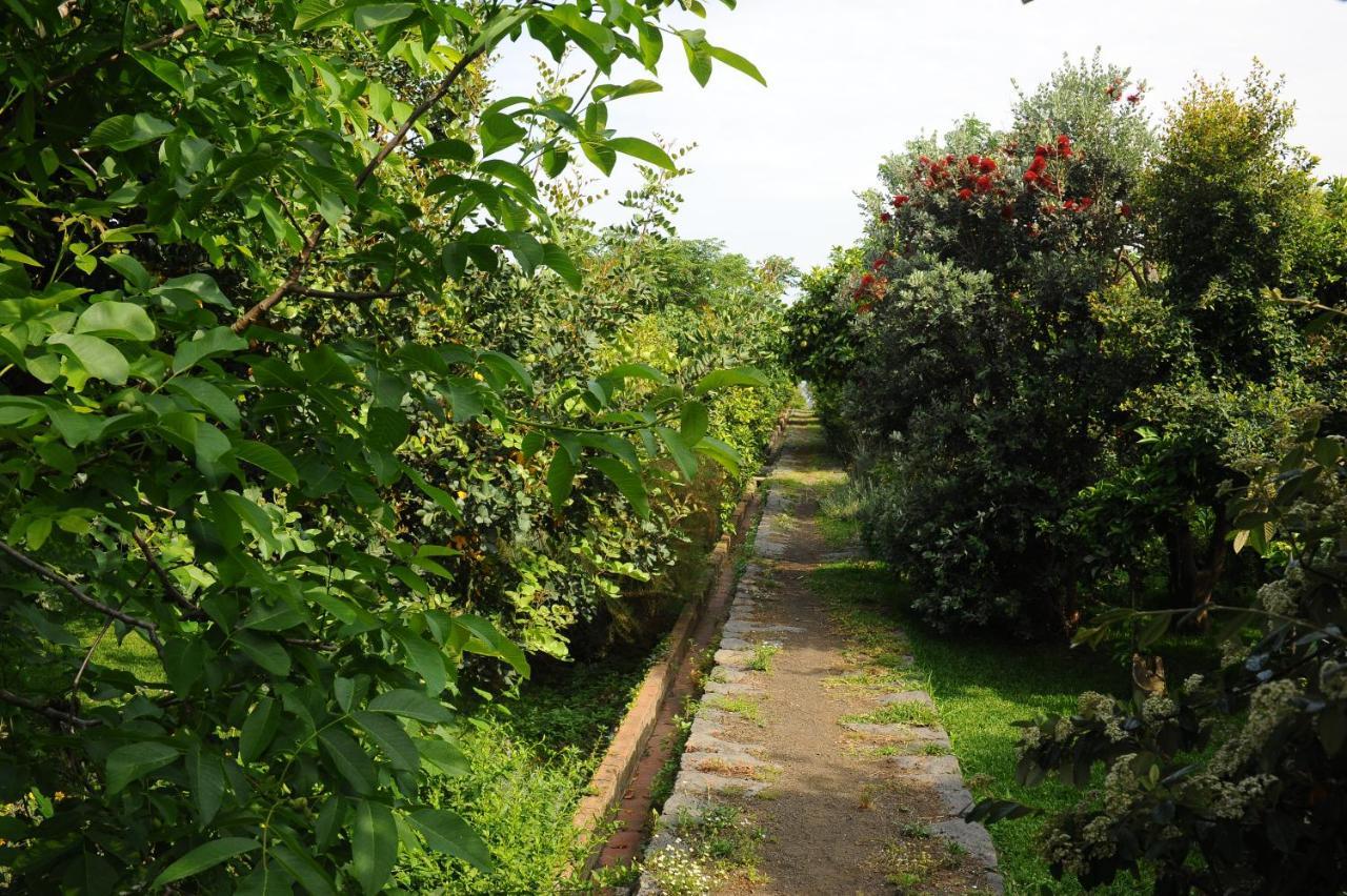 Tenuta Santa Tecla Ачиреале Екстериор снимка