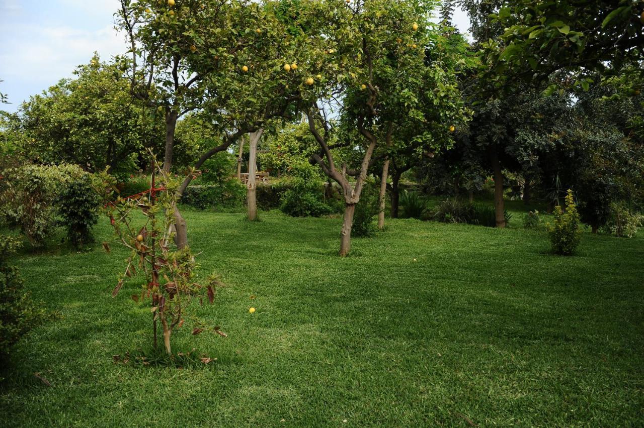 Tenuta Santa Tecla Ачиреале Екстериор снимка